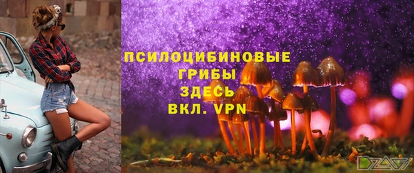 дурь Богородск