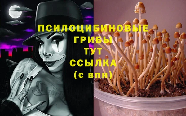 эйфоретик Богданович