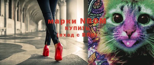 шишки Бронницы