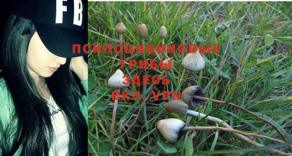 синтетический гашиш Бугульма