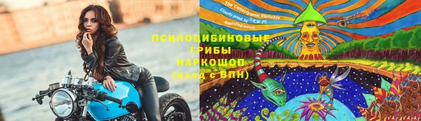скорость Бородино