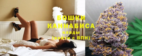 дурь Богородск