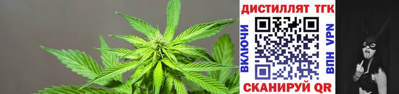 Купить где  Куртамыш  Дистиллят ТГК вейп 
