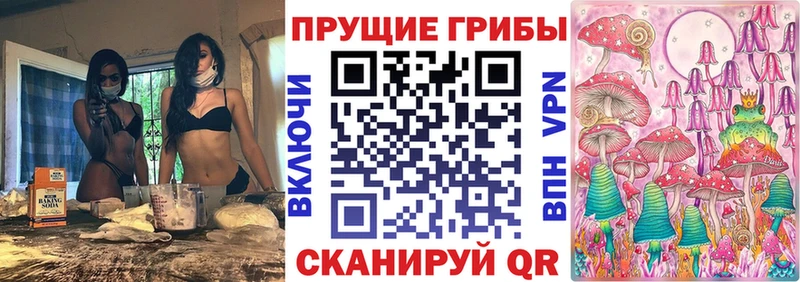 Галлюциногенные грибы Cubensis  Купить где  Куртамыш 